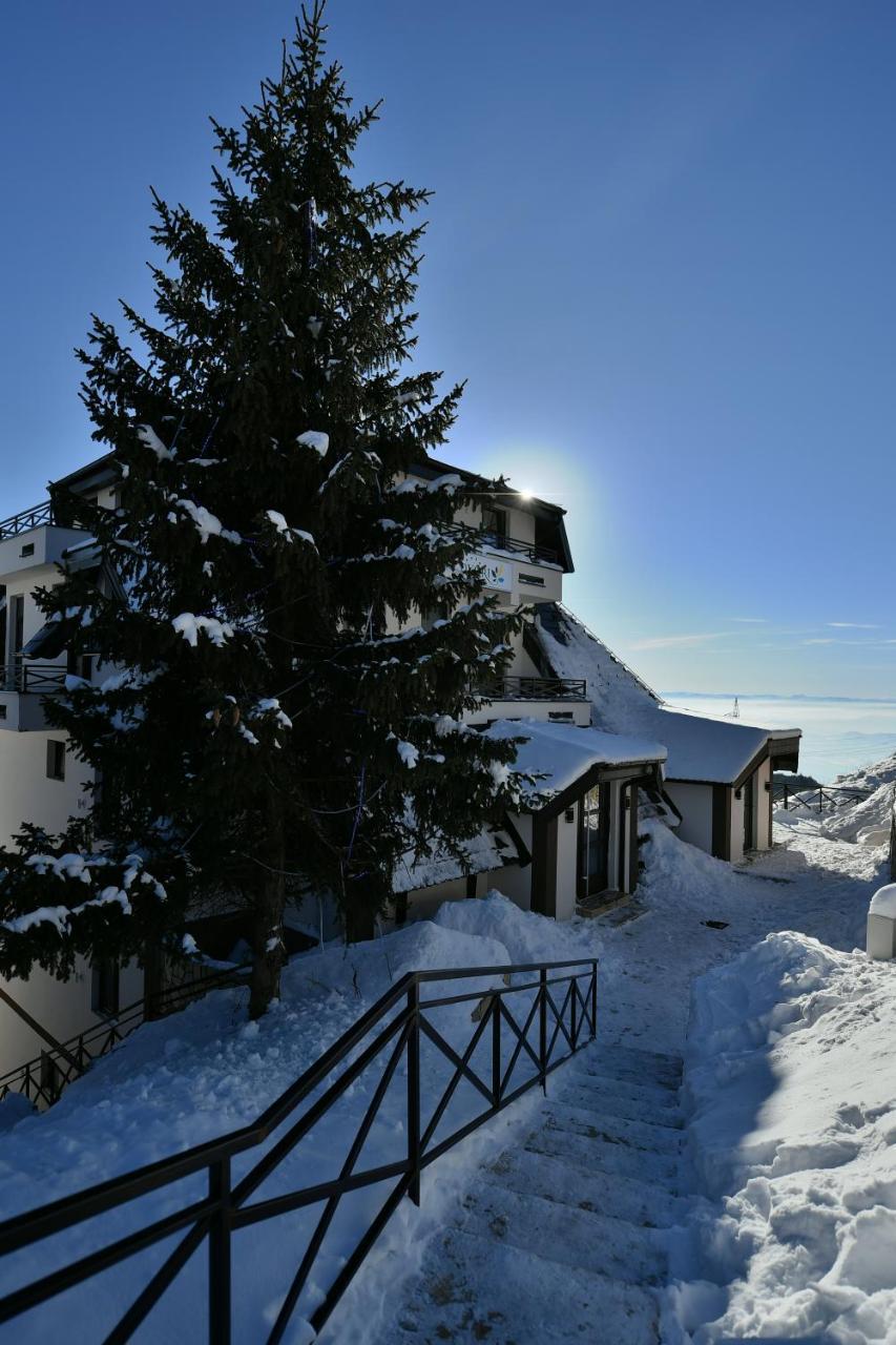 Apartment D52 Dvori *